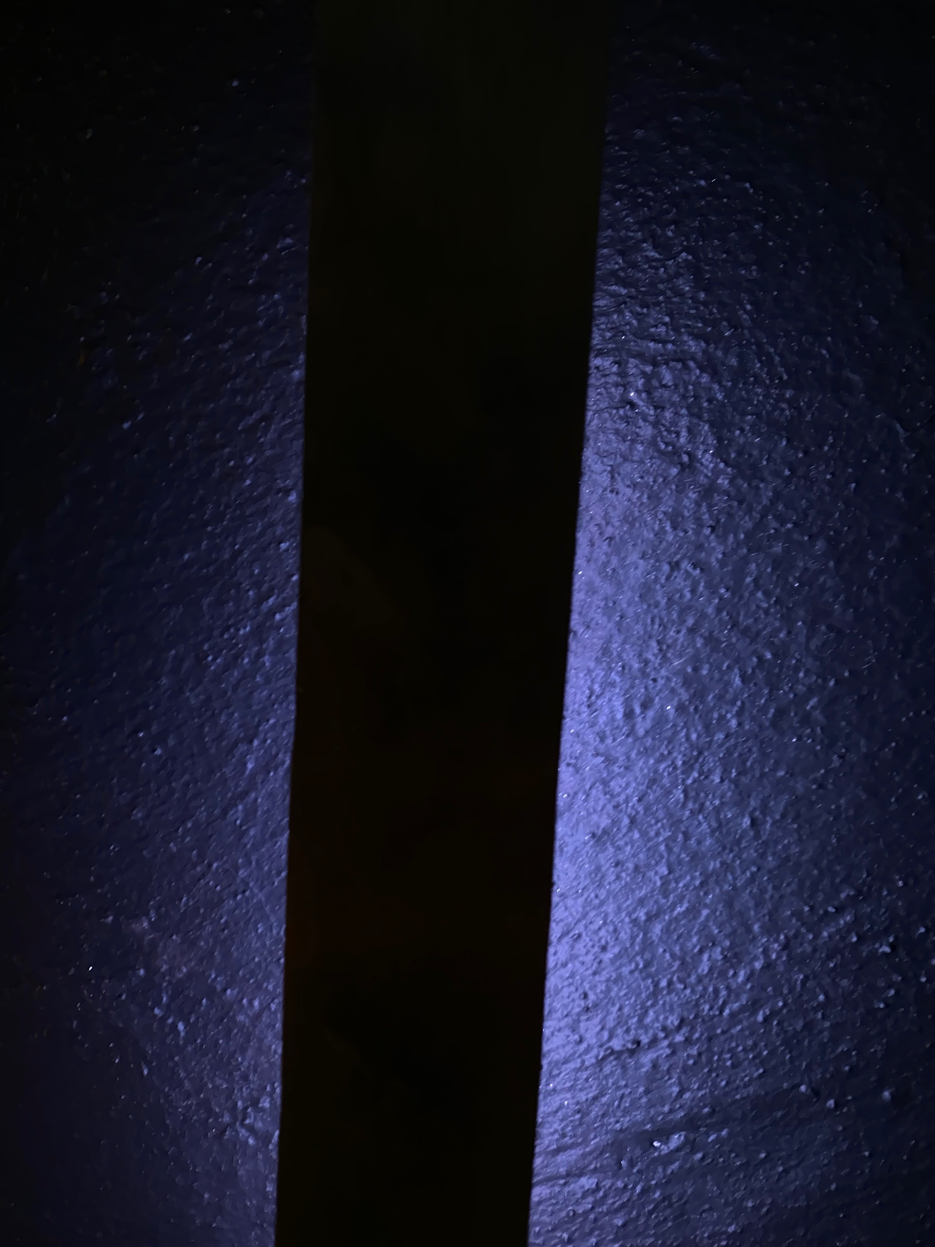 stwst48x10_c_jan_img_0117.jpeg