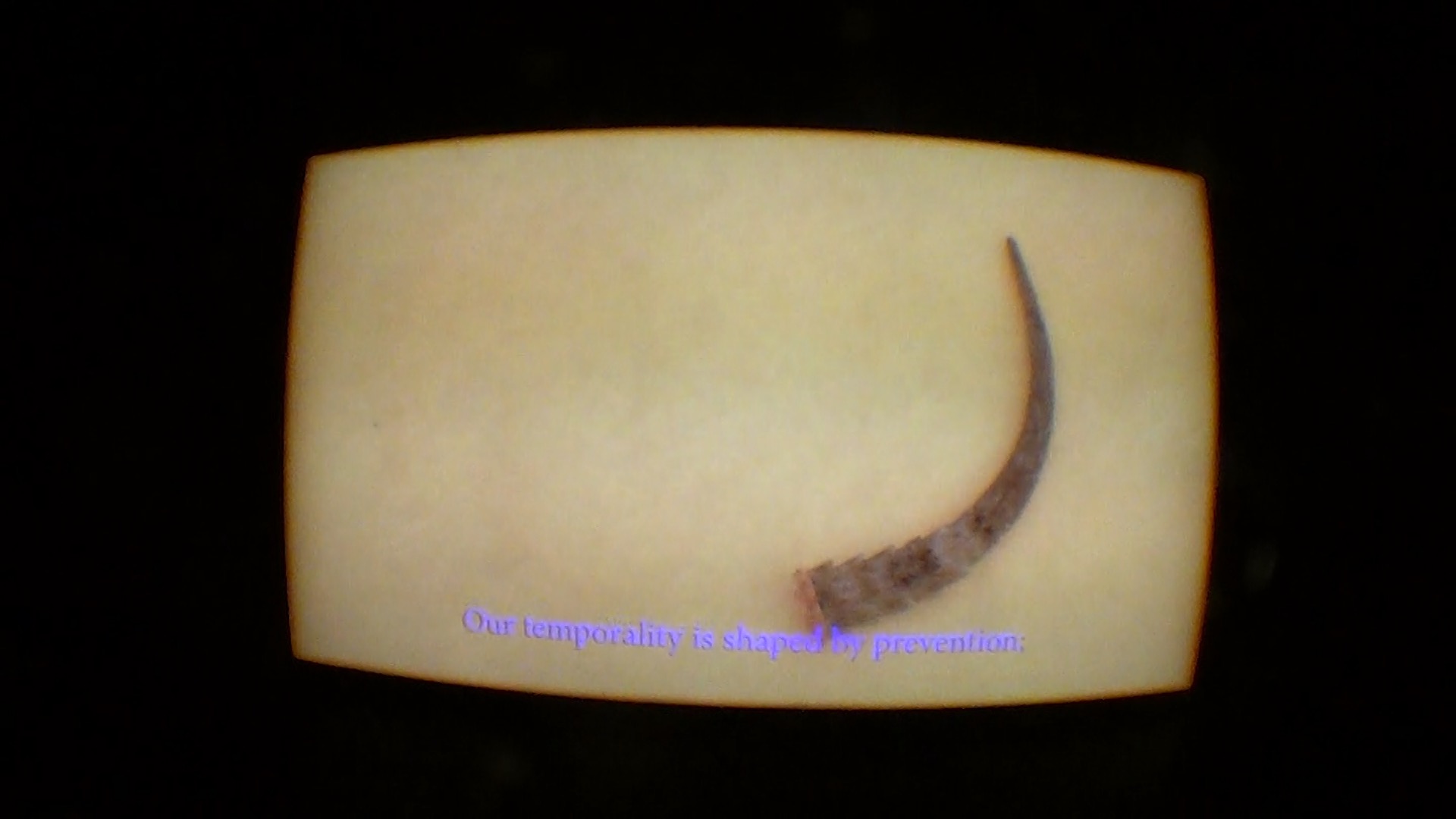 stwst48x10_nope_doku_tectales_c_ralf_petersen2.jpeg