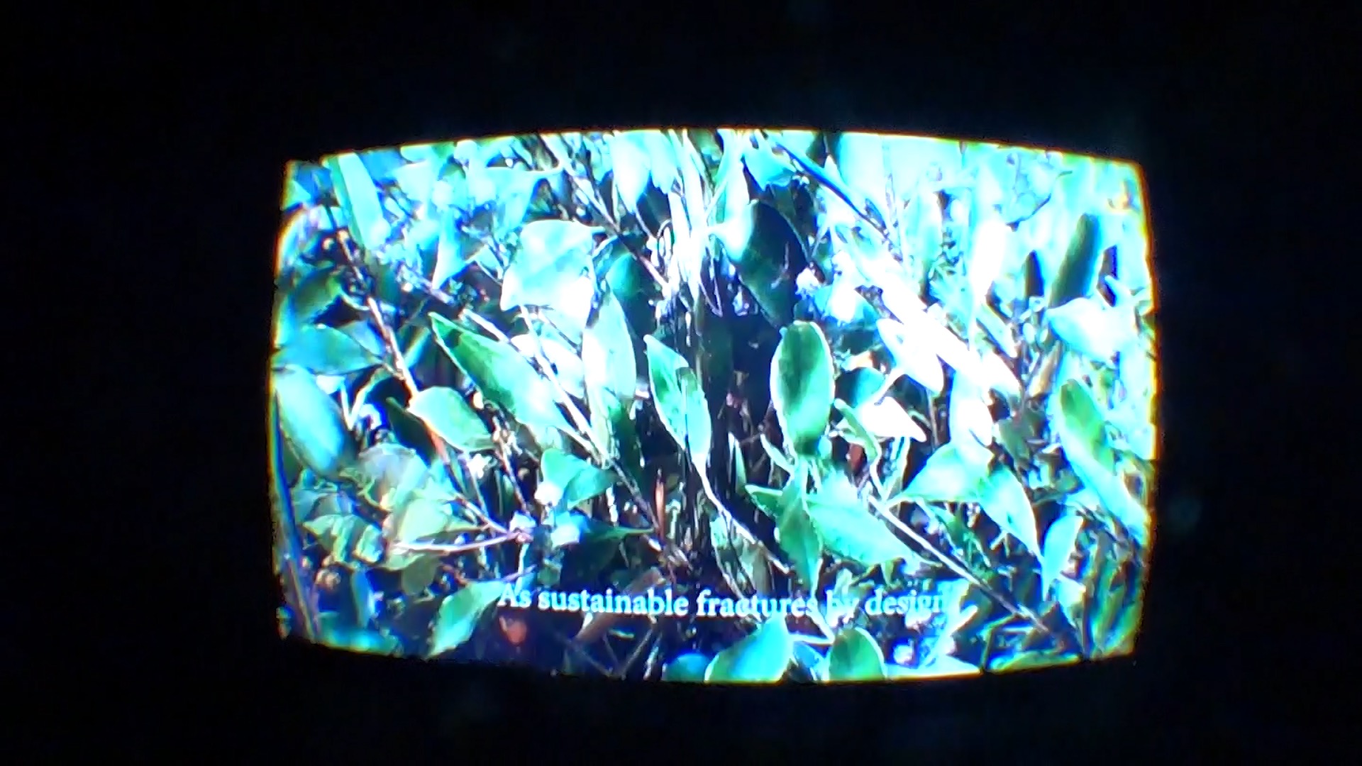 stwst48x10_nope_doku_tectales_c_ralf_petersen5.jpeg